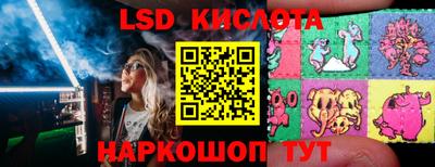 молекула духа Будённовск