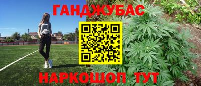 молекула духа Будённовск