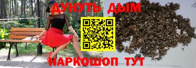 молекула духа Будённовск