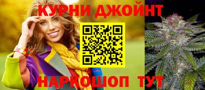 молекула духа Будённовск