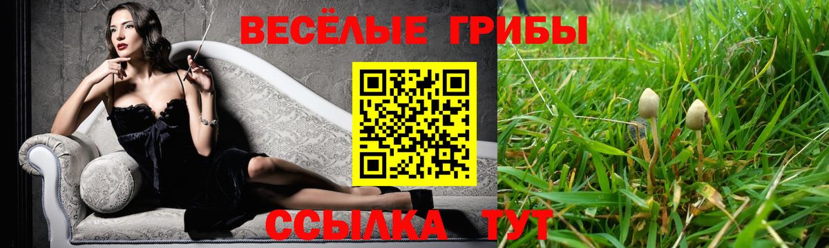 Галлюциногенные грибы Magic Shrooms Красногорск